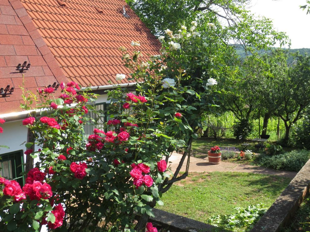 Hotel A Tornyos Haz Csárdamajor Exteriér fotografie